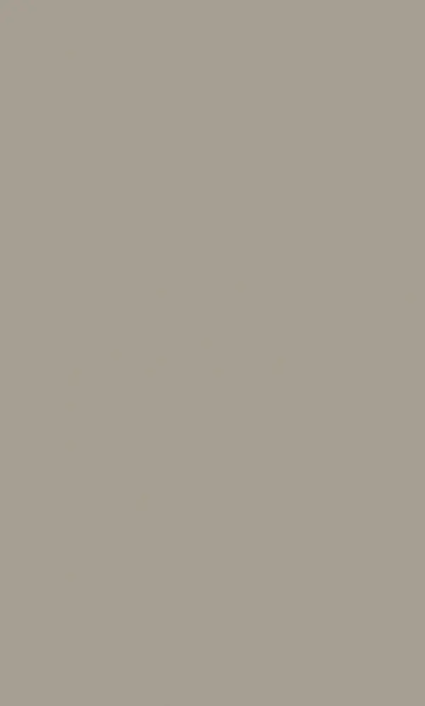 40Y MINERAL GREY