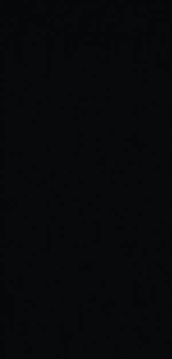 231 NEGRO