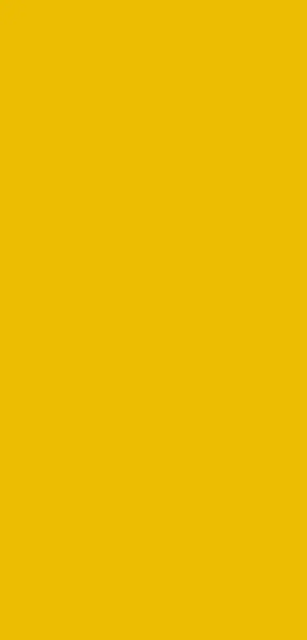 16R AMARILLO CURRY