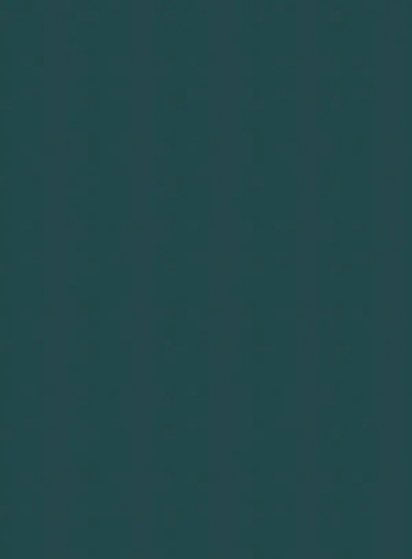 7AD VERDE JUNGLA